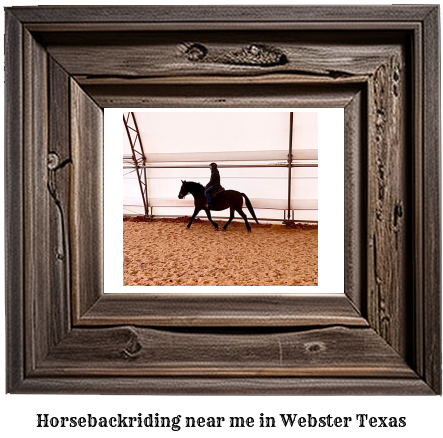 horseback riding near me in Webster, Texas